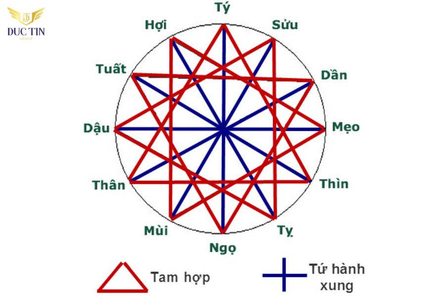 Tam hợp và Tứ hành xung trong 12 con giáp